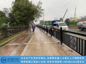 广州海珠区湿地公园人行道护栏