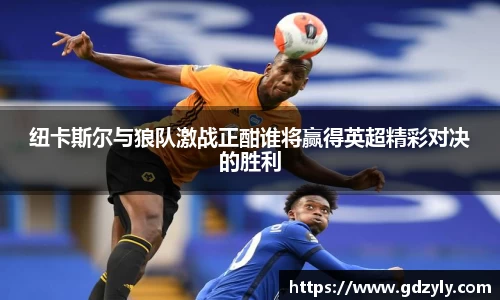 纽卡斯尔与狼队激战正酣谁将赢得英超精彩对决的胜利